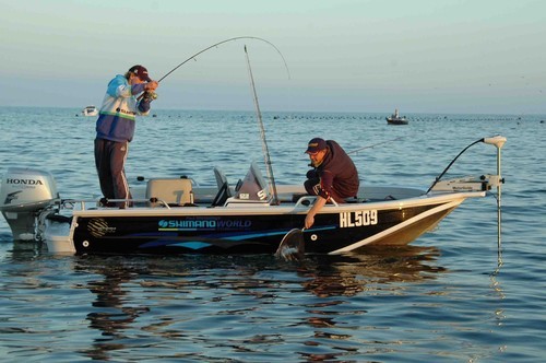 Hooked up on salmon early in the morning ©  Jarrod Day www.jarrodday.com